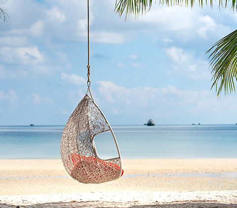 Hanging swing from a palm tree on a beach