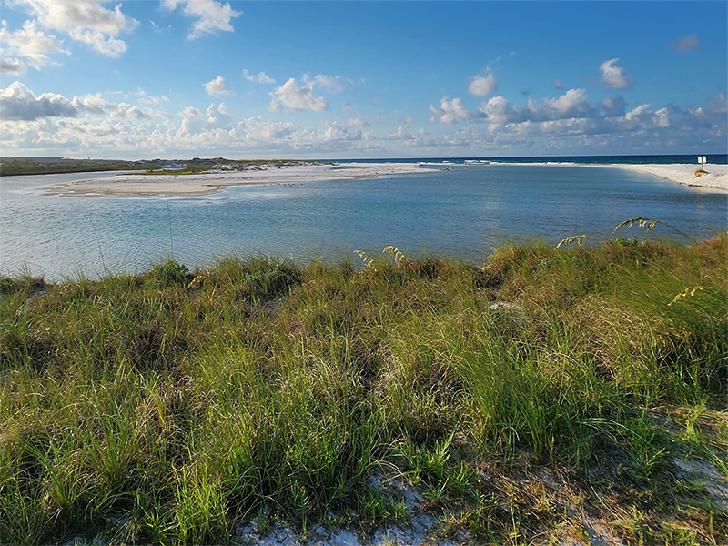 dunes leading into beach water