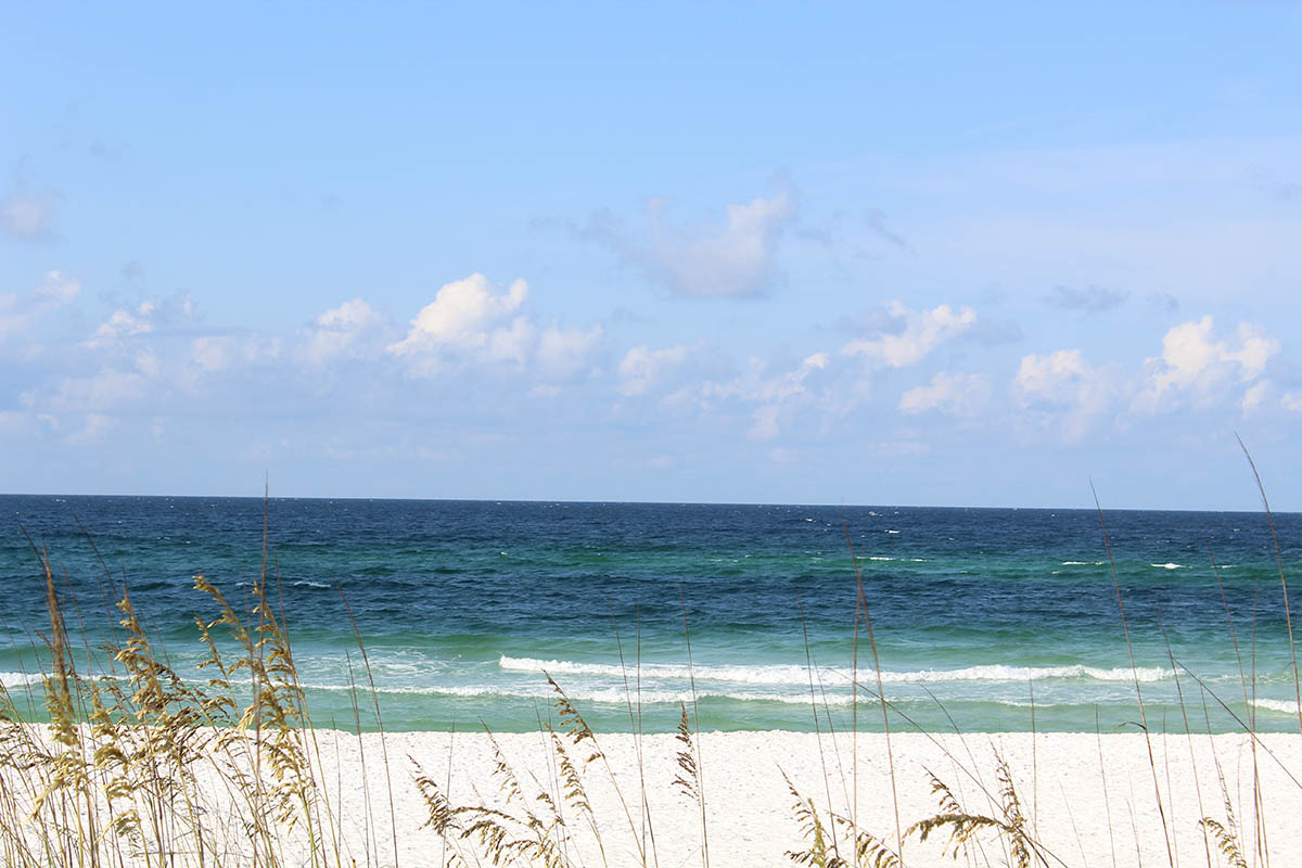 Dune Allen Shore